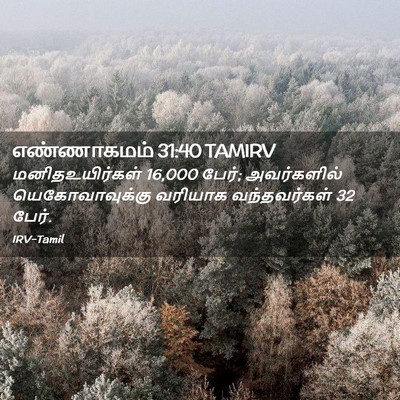 Picture 02 - எண்ணாகமம் 31:40 TAMIRV - மனிதஉயிர்கள் 16,000 - Bible Verse Picture