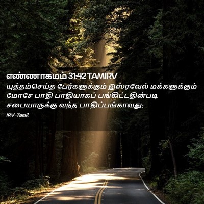 Picture 02 - எண்ணாகமம் 31:42 TAMIRV - யுத்தம்செய்த - Bible Verse Picture