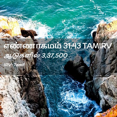 Picture 02 - எண்ணாகமம் 31:43 TAMIRV - ஆடுகளில் - Bible Verse Picture