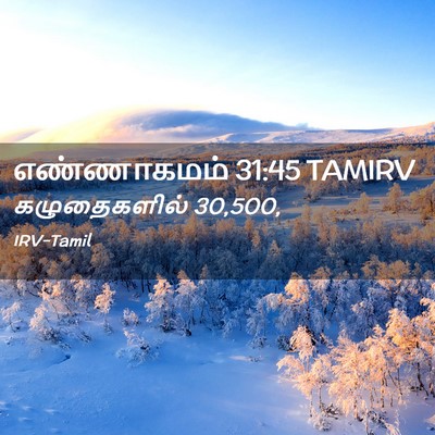 Picture 02 - எண்ணாகமம் 31:45 TAMIRV - கழுதைகளில் - Bible Verse Picture