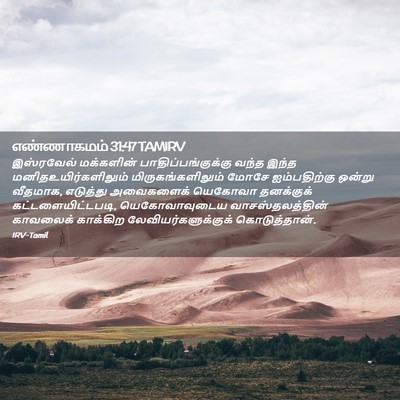 Picture 02 - எண்ணாகமம் 31:47 TAMIRV - இஸ்ரவேல் மக்களின் - Bible Verse Picture
