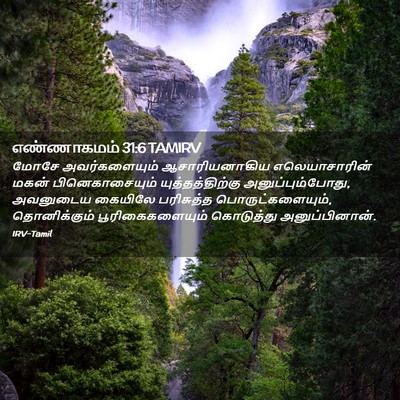 Picture 02 - எண்ணாகமம் 31:6 TAMIRV - மோசே அவர்களையும் - Bible Verse Picture