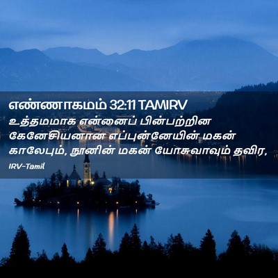 Picture 02 - எண்ணாகமம் 32:11 TAMIRV - உத்தமமாக என்னைப் - Bible Verse Picture