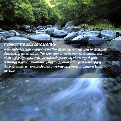 Picture 02 - எண்ணாகமம் 32:12 TAMIRV - எகிப்திலிருந்து - Bible Verse Picture