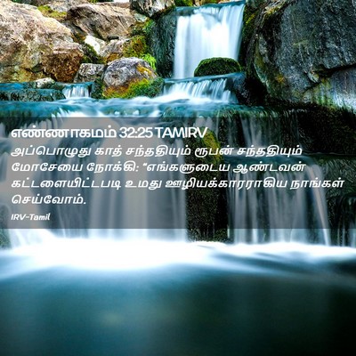 Picture 02 - எண்ணாகமம் 32:25 TAMIRV - அப்பொழுது காத் - Bible Verse Picture