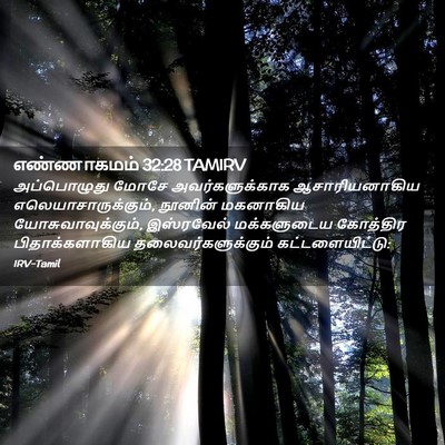 Picture 02 - எண்ணாகமம் 32:28 TAMIRV - அப்பொழுது மோசே - Bible Verse Picture