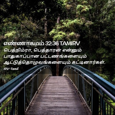Picture 02 - எண்ணாகமம் 32:36 TAMIRV - பெத்நிம்ரா, - Bible Verse Picture