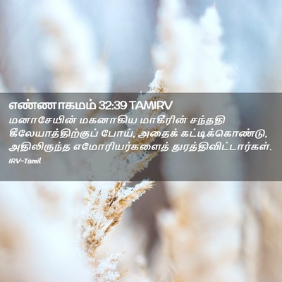 Picture 02 - எண்ணாகமம் 32:39 TAMIRV - மனாசேயின் மகனாகிய - Bible Verse Picture