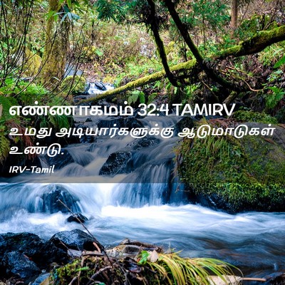 Picture 02 - எண்ணாகமம் 32:4 TAMIRV - உமது - Bible Verse Picture