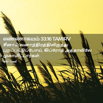 Picture 02 - எண்ணாகமம் 33:16 TAMIRV - சீனாய் - Bible Verse Picture
