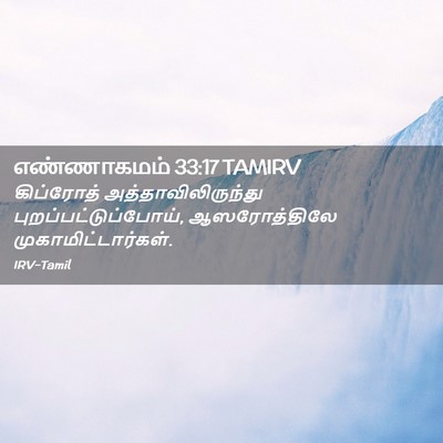 Picture 02 - எண்ணாகமம் 33:17 TAMIRV - கிப்ரோத் - Bible Verse Picture
