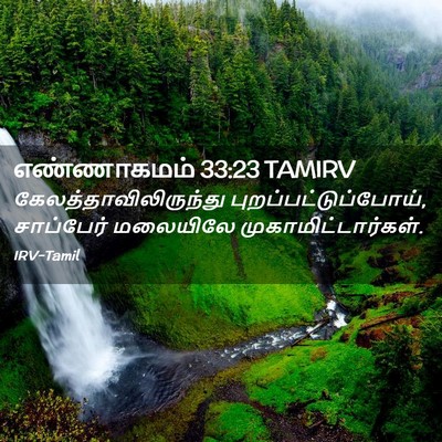 Picture 02 - எண்ணாகமம் 33:23 TAMIRV -  - Bible Verse Picture