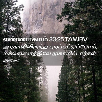Picture 02 - எண்ணாகமம் 33:25 TAMIRV - ஆரதாவிலிருந்து - Bible Verse Picture