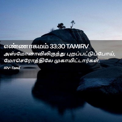 Picture 02 - எண்ணாகமம் 33:30 TAMIRV -  - Bible Verse Picture