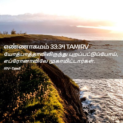 Picture 02 - எண்ணாகமம் 33:34 TAMIRV -  - Bible Verse Picture