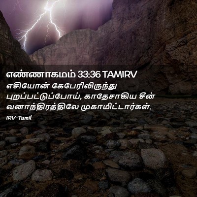 Picture 02 - எண்ணாகமம் 33:36 TAMIRV - எசியோன் - Bible Verse Picture