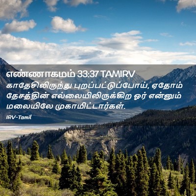 Picture 02 - எண்ணாகமம் 33:37 TAMIRV - காதேசிலிருந்து - Bible Verse Picture