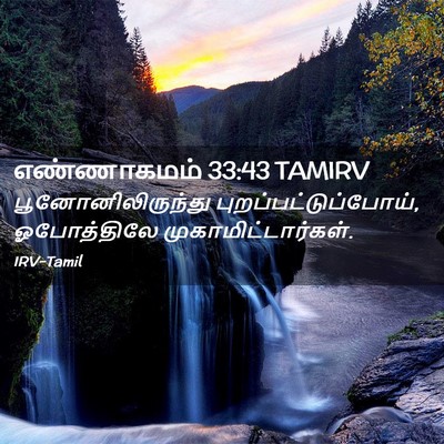 Picture 02 - எண்ணாகமம் 33:43 TAMIRV - பூனோனிலிருந்து - Bible Verse Picture