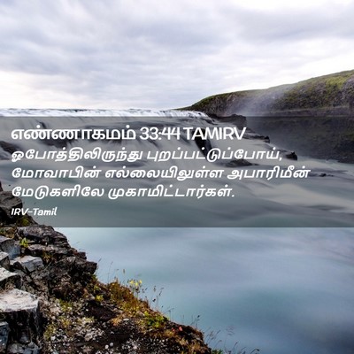 Picture 02 - எண்ணாகமம் 33:44 TAMIRV - ஓபோத்திலிருந்து - Bible Verse Picture