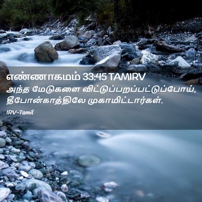 Picture 02 - எண்ணாகமம் 33:45 TAMIRV - அந்த மேடுகளை - Bible Verse Picture