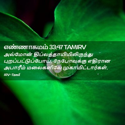 Picture 02 - எண்ணாகமம் 33:47 TAMIRV - அல்மோன் - Bible Verse Picture