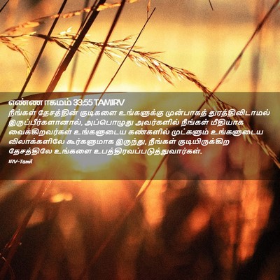 Picture 02 - எண்ணாகமம் 33:55 TAMIRV - நீங்கள் தேசத்தின் - Bible Verse Picture