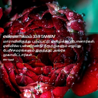 Picture 02 - எண்ணாகமம் 33:9 TAMIRV - மாராவிலிருந்து - Bible Verse Picture
