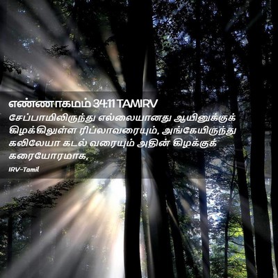 Picture 02 - எண்ணாகமம் 34:11 TAMIRV - சேப்பாமிலிருந்து - Bible Verse Picture