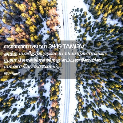 Picture 02 - எண்ணாகமம் 34:19 TAMIRV - அந்த மனிதர்களுடைய - Bible Verse Picture