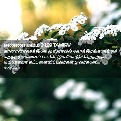 Picture 02 - எண்ணாகமம் 34:29 TAMIRV - கானான்தேசத்திலே - Bible Verse Picture