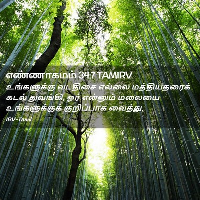 Picture 02 - எண்ணாகமம் 34:7 TAMIRV - உங்களுக்கு வடதிசை - Bible Verse Picture