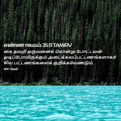 Picture 02 - எண்ணாகமம் 35:11 TAMIRV - கை தவறி ஒருவனைக் - Bible Verse Picture