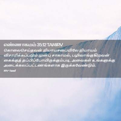Picture 02 - எண்ணாகமம் 35:12 TAMIRV - கொலைசெய்தவன் - Bible Verse Picture