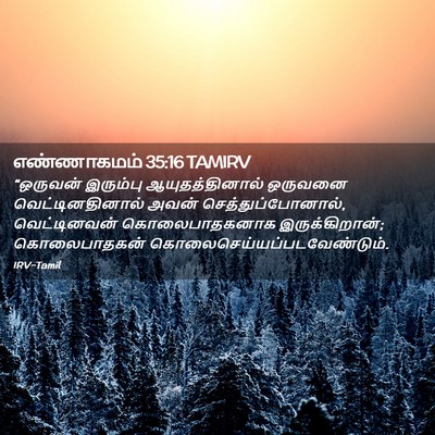 Picture 02 - எண்ணாகமம் 35:16 TAMIRV - “ஒருவன் இரும்பு - Bible Verse Picture