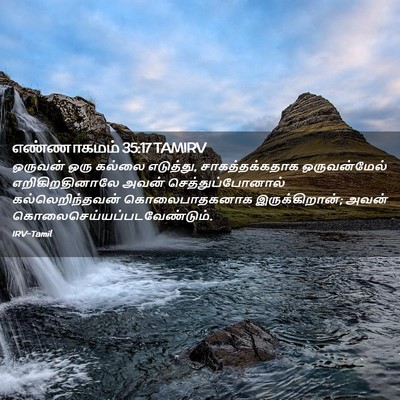 Picture 02 - எண்ணாகமம் 35:17 TAMIRV - ஒருவன் ஒரு கல்லை - Bible Verse Picture