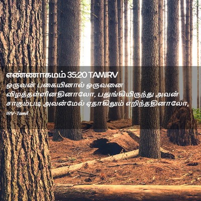 Picture 02 - எண்ணாகமம் 35:20 TAMIRV - ஒருவன் பகையினால் - Bible Verse Picture