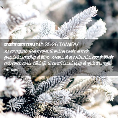 Picture 02 - எண்ணாகமம் 35:26 TAMIRV - ஆனாலும் - Bible Verse Picture