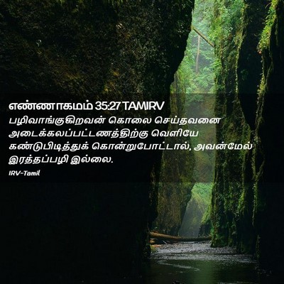 Picture 02 - எண்ணாகமம் 35:27 TAMIRV - பழிவாங்குகிறவன் - Bible Verse Picture