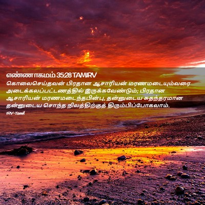 Picture 02 - எண்ணாகமம் 35:28 TAMIRV - கொலைசெய்தவன் - Bible Verse Picture