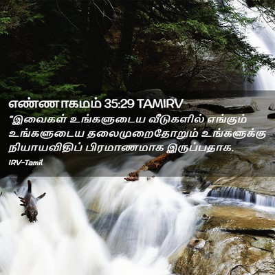 Picture 02 - எண்ணாகமம் 35:29 TAMIRV - “இவைகள் உங்களுடைய - Bible Verse Picture