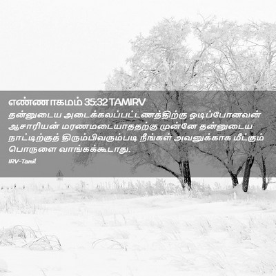 Picture 02 - எண்ணாகமம் 35:32 TAMIRV - தன்னுடைய - Bible Verse Picture
