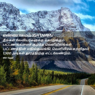 Picture 02 - எண்ணாகமம் 35:4 TAMIRV - நீங்கள் - Bible Verse Picture