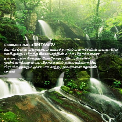 Picture 02 - எண்ணாகமம் 36:1 TAMIRV - யோசேப்பின் - Bible Verse Picture