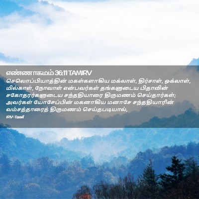 Picture 02 - எண்ணாகமம் 36:11 TAMIRV - செலொப்பியாத்தின் - Bible Verse Picture