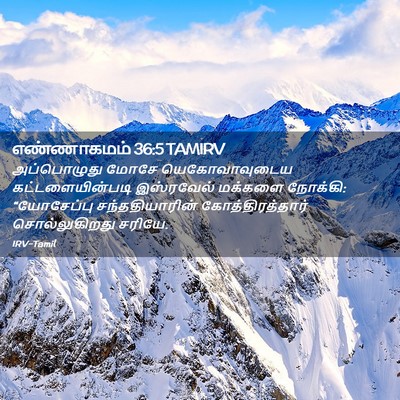 Picture 02 - எண்ணாகமம் 36:5 TAMIRV - அப்பொழுது மோசே - Bible Verse Picture