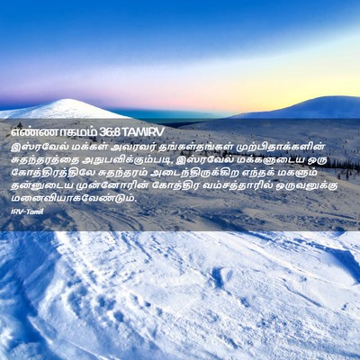 Picture 02 - எண்ணாகமம் 36:8 TAMIRV - இஸ்ரவேல் மக்கள் - Bible Verse Picture