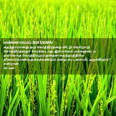 Picture 02 - எண்ணாகமம் 36:9 TAMIRV - சுதந்தரமானது ஒரு - Bible Verse Picture