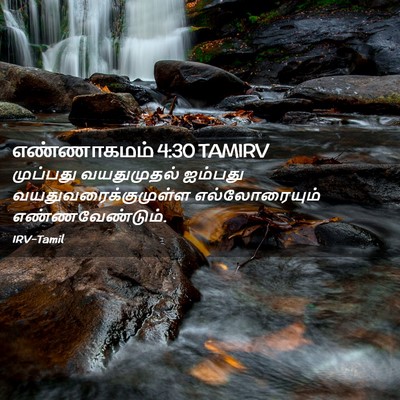 Picture 02 - எண்ணாகமம் 4:30 TAMIRV - முப்பது வயதுமுதல் - Bible Verse Picture
