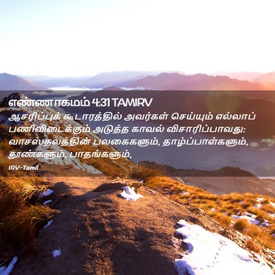 Picture 02 - எண்ணாகமம் 4:31 TAMIRV - ஆசரிப்புக் - Bible Verse Picture