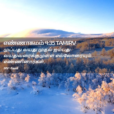 Picture 02 - எண்ணாகமம் 4:35 TAMIRV - முப்பது வயது - Bible Verse Picture